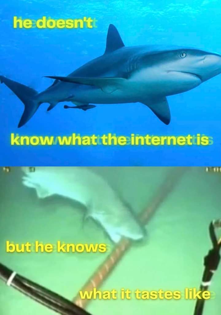 he doesn't 

know what the internet is

but he knows

what it tastes like. 
