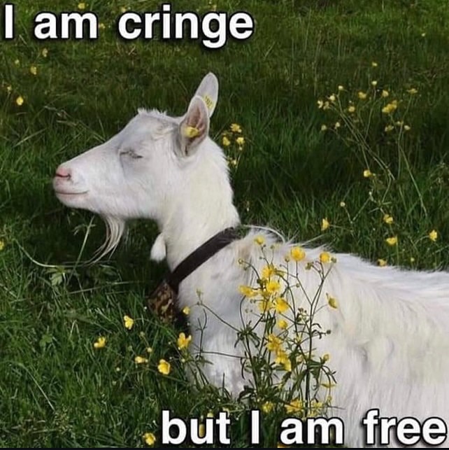 A goat in a moment of repose. The meme says: "I am cringe, but I am free".