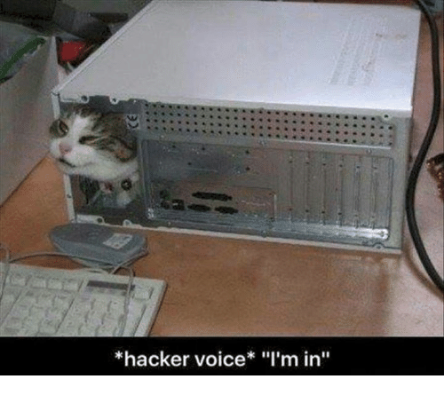 a cat shoving its head out of a PSU hole in a computer case.